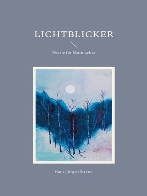 cover image of Lichtblicker